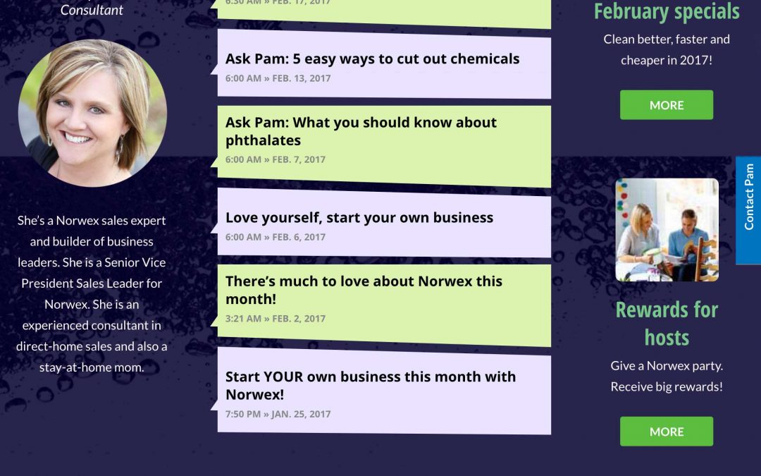 Norwex sales and a new way to clean